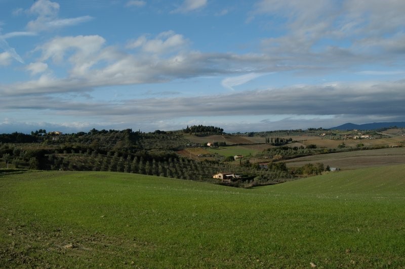 BIBBONA CAMPAGNA